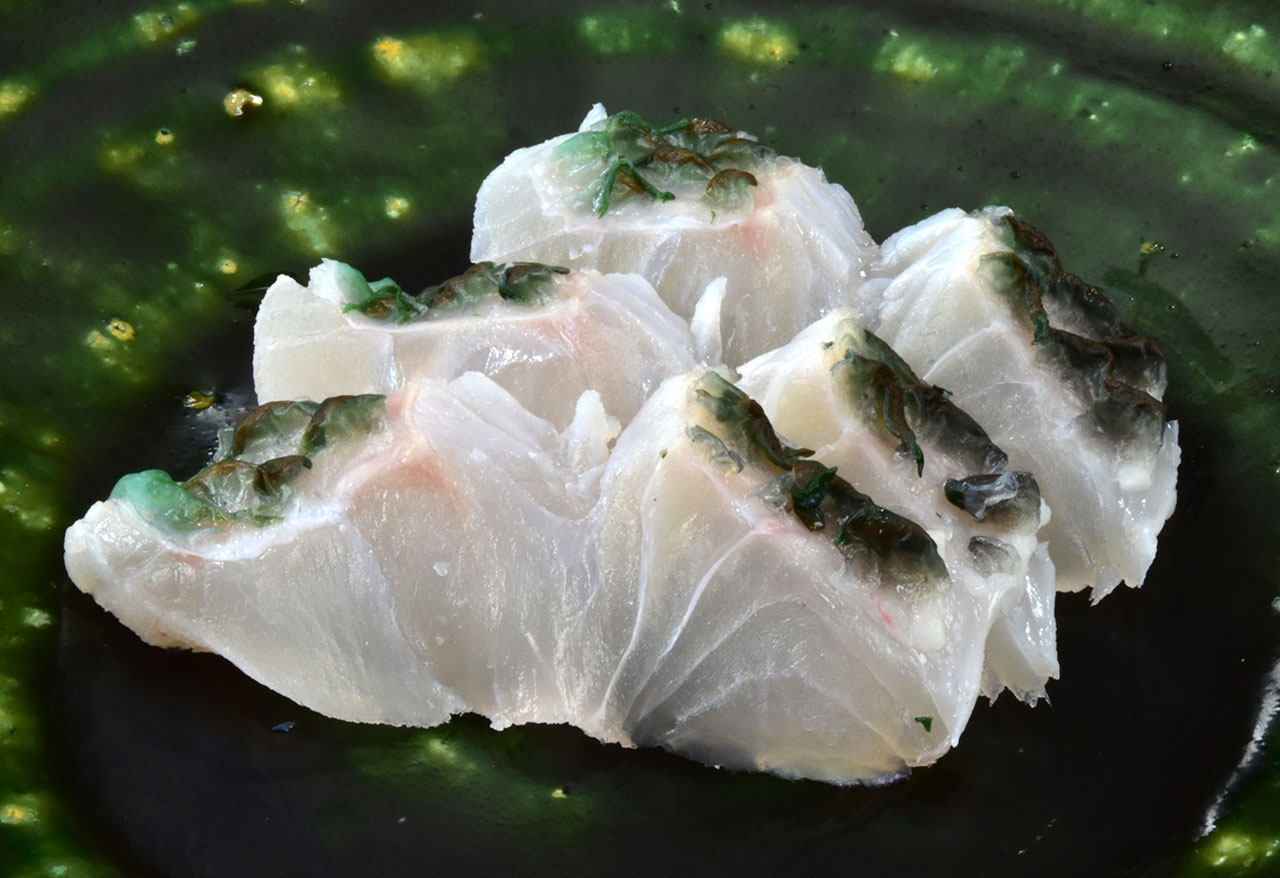 ナンヨウブダイ 三賢社 ナンヨウブダイ 三賢社